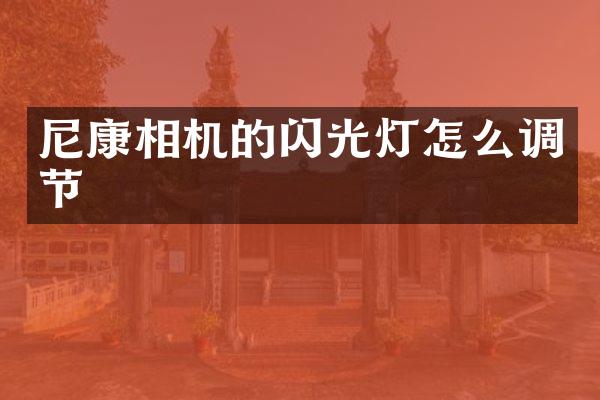尼康相机的闪光灯怎么调节