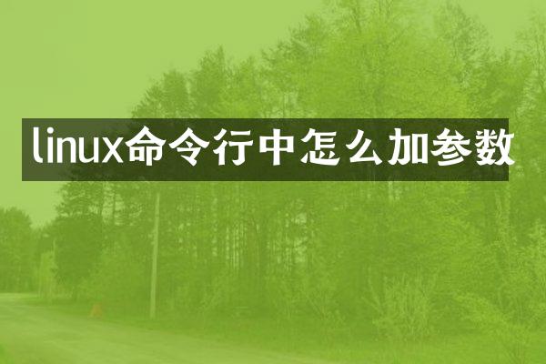 linux命令行中怎么加参数