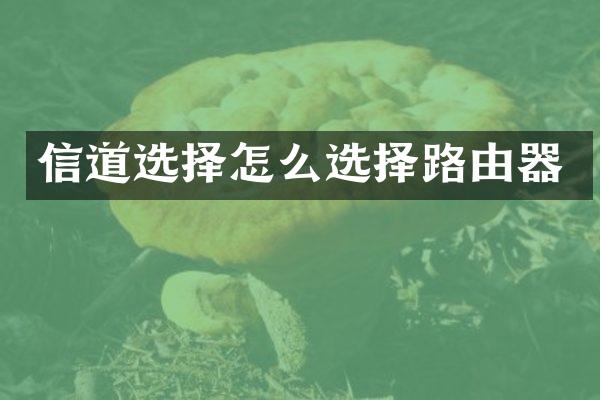 信道选择怎么选择路由器