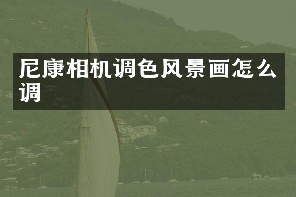 尼康相机调色风景画怎么调