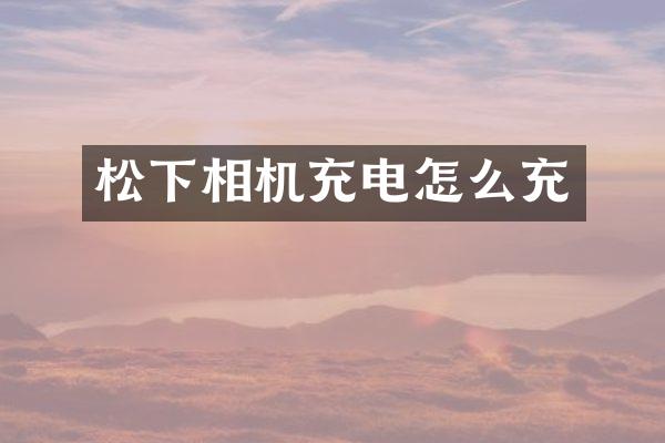 松下相机充电怎么充