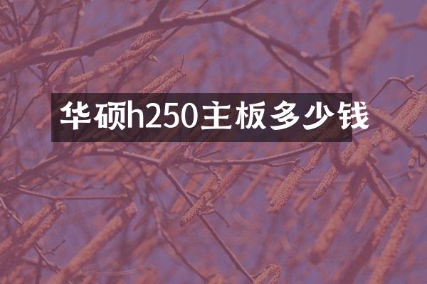 华硕h250主板多少钱