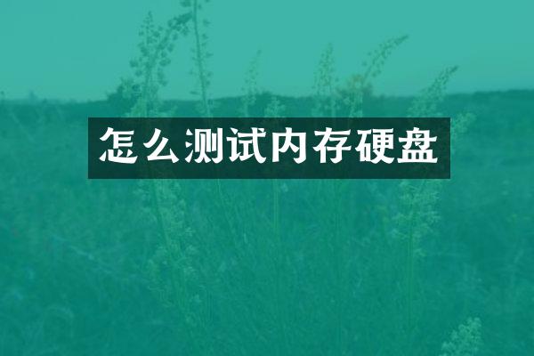 怎么测试内存硬盘