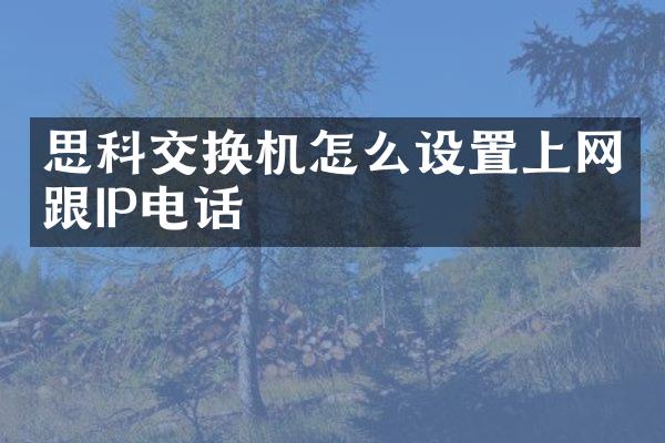 思科交换机怎么设置上网跟IP电话