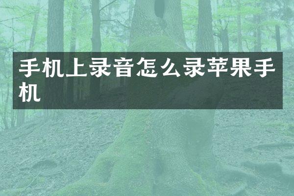手机上录音怎么录苹果手机