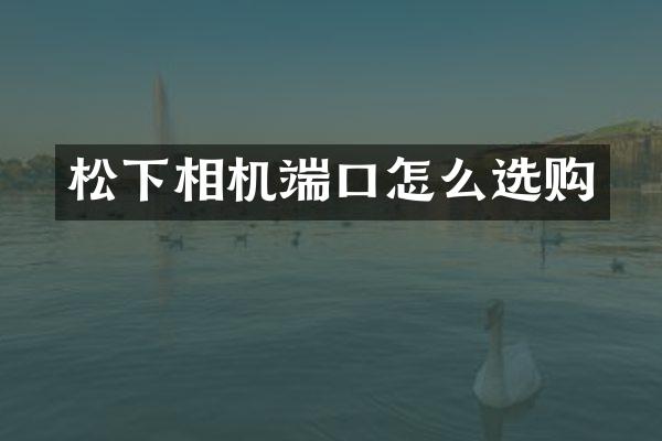 松下相机端口怎么选购