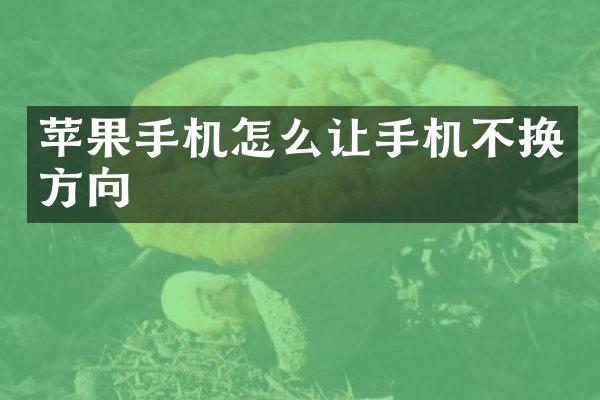 苹果手机怎么让手机不换方向