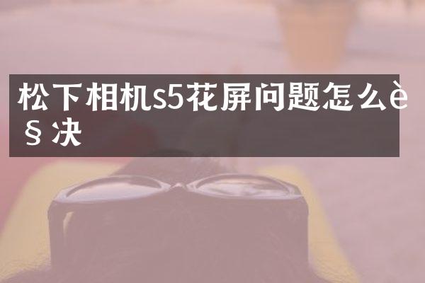 松下相机s5花屏问题怎么解决