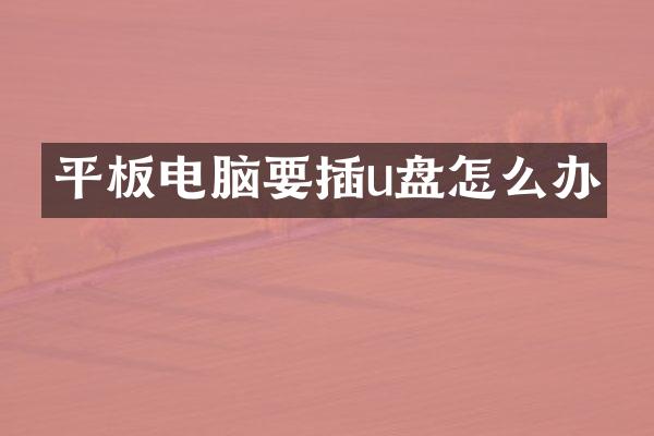 平板电脑要插u盘怎么办