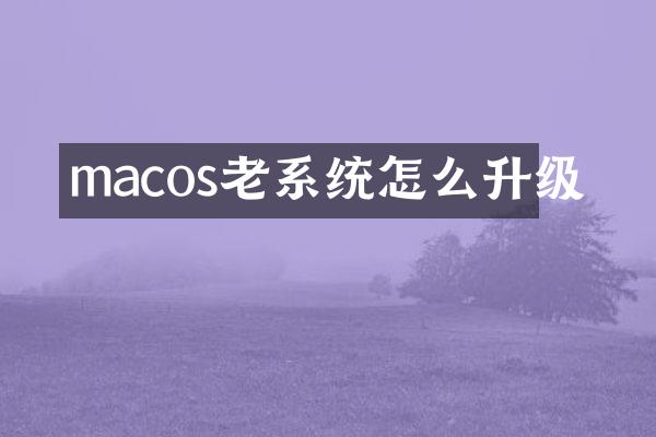 macos老系统怎么升级