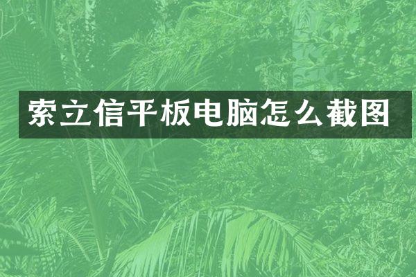 索立信平板电脑怎么截图