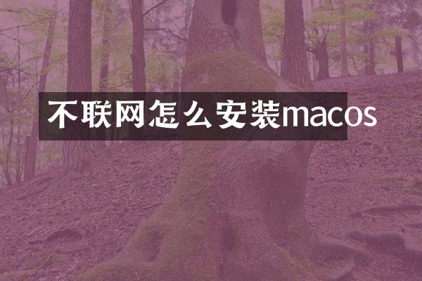 不联网怎么安装macos