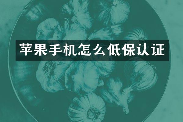 苹果手机怎么低保认证