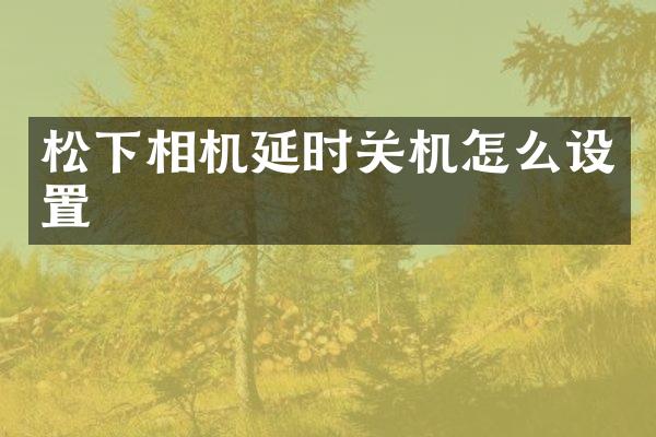 松下相机延时关机怎么设置