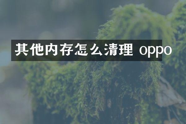 其他内存怎么清理 oppo