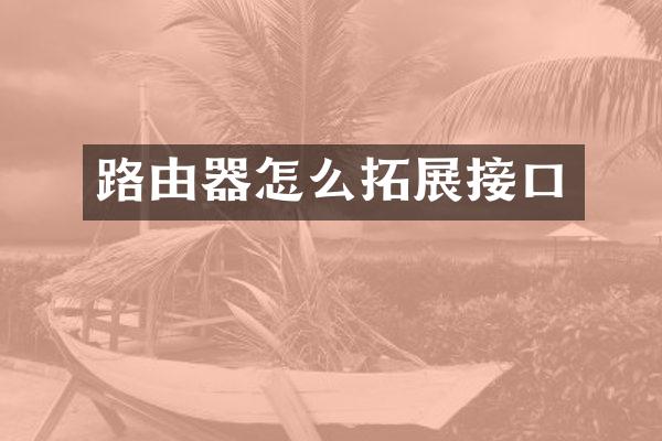 路由器怎么拓展接口