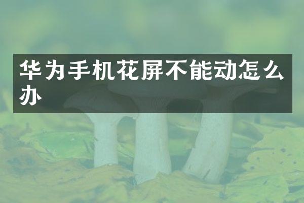 华为手机花屏不能动怎么办