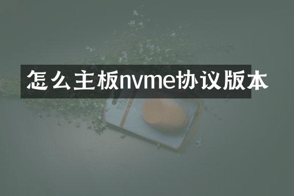 怎么主板nvme协议版本