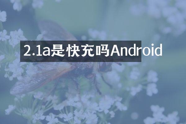 2.1a是快充吗Android