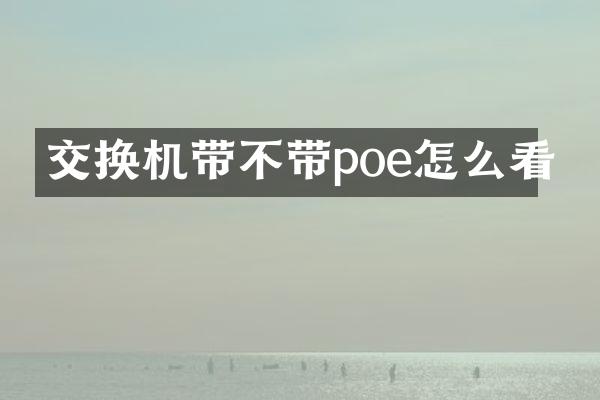交换机带不带poe怎么看