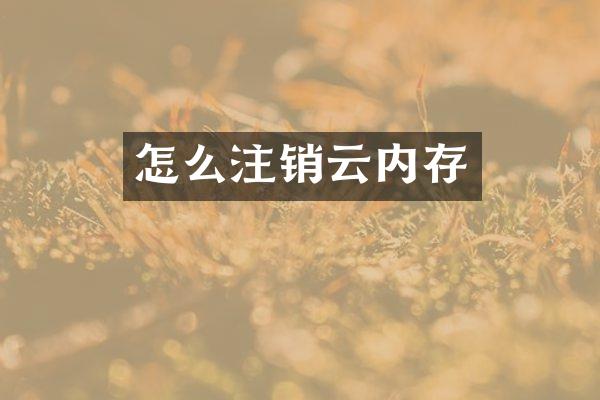 怎么注销云内存
