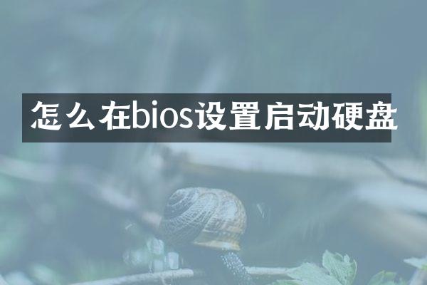 怎么在bios设置启动硬盘