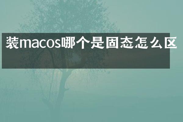 装macos哪个是固态怎么区分