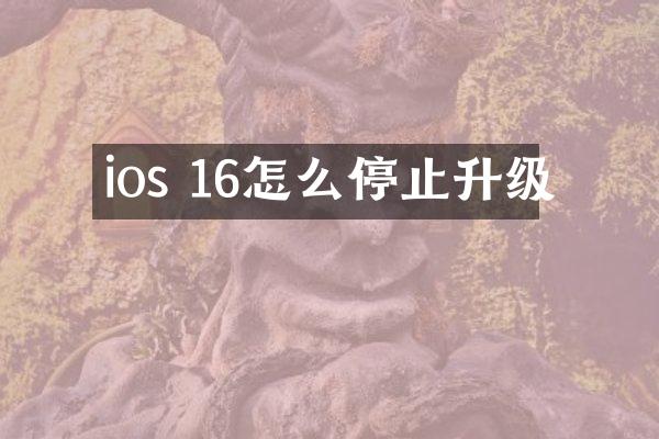 ios 16怎么停止升级