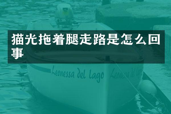 猫光拖着腿走路是怎么回事