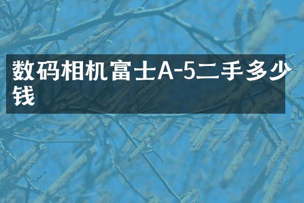 数码相机富士A-5二手多少钱