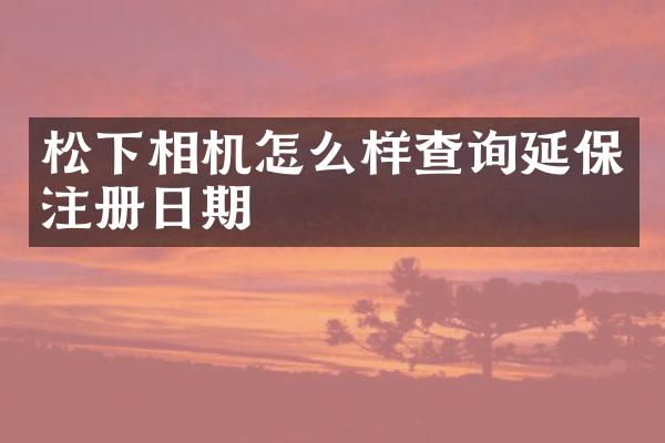 松下相机怎么样查询延保注册日期
