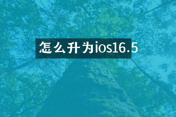 怎么升为ios16.5