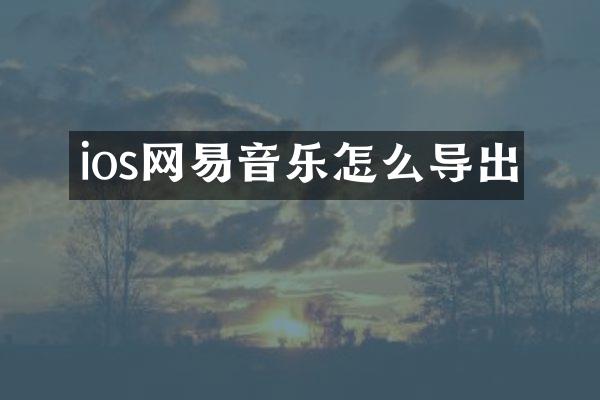 ios网易音乐怎么导出