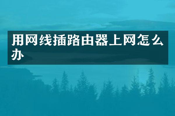 用网线插路由器上网怎么办