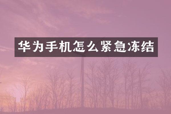 华为手机怎么紧急冻结