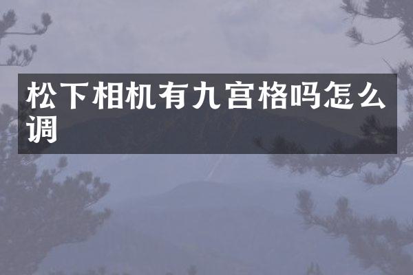 松下相机有九宫格吗怎么调