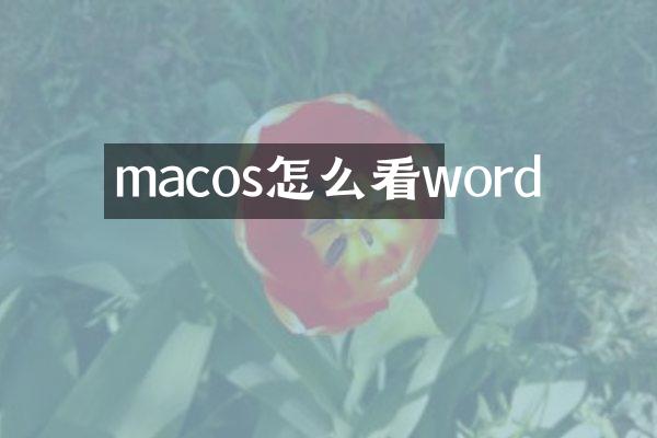 macos怎么看word