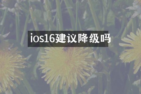 ios16建议降级吗