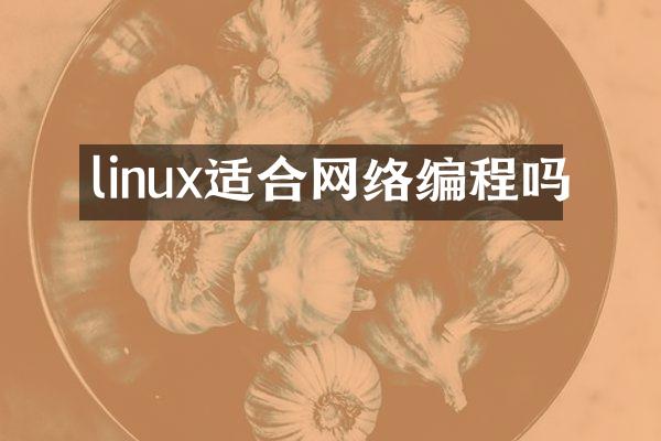 linux适合网络编程吗