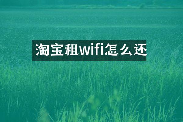 淘宝租wifi怎么还