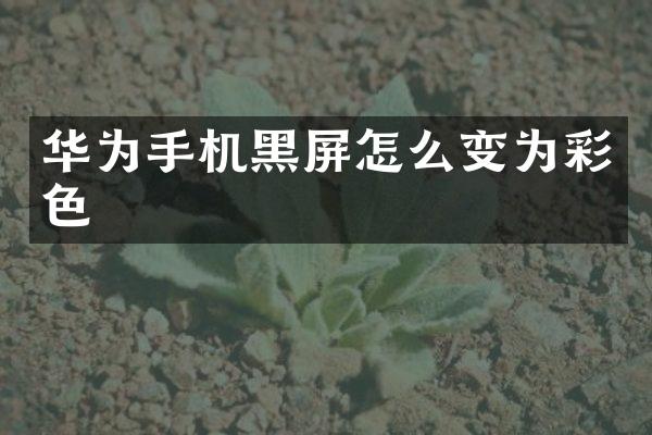 华为手机黑屏怎么变为彩色