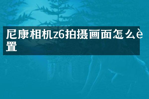 尼康相机z6拍摄画面怎么设置