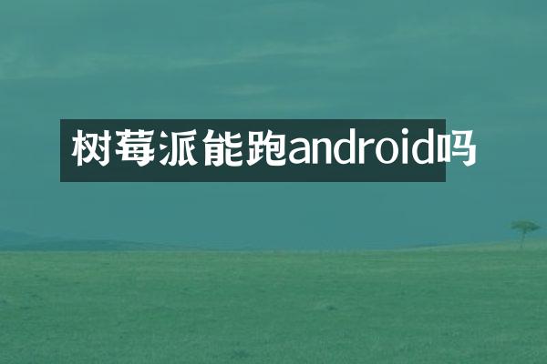 树莓派能跑android吗