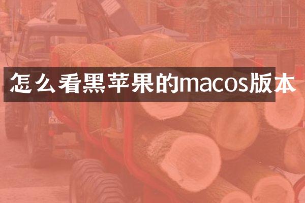 怎么看黑苹果的macos版本