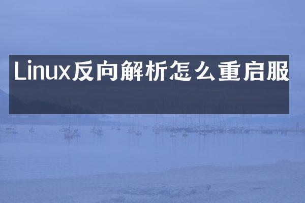 Linux反向解析怎么重启服务