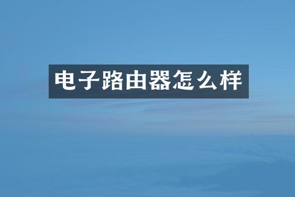 电子路由器怎么样