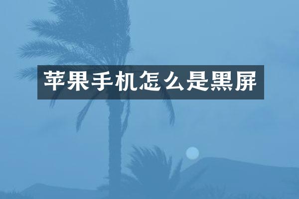 苹果手机怎么是黑屏