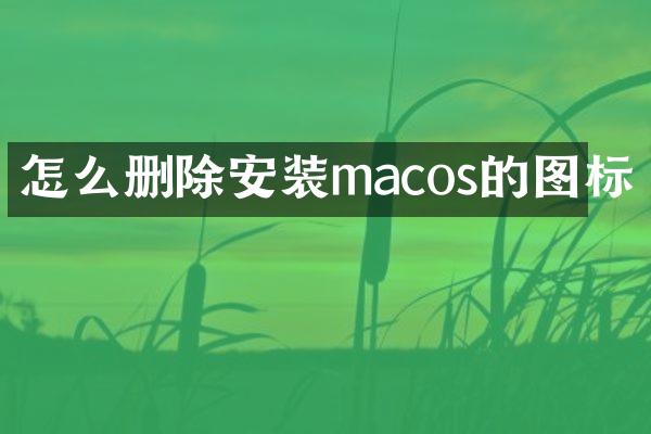 怎么删除安装macos的图标