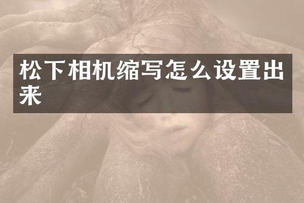 松下相机缩写怎么设置出来