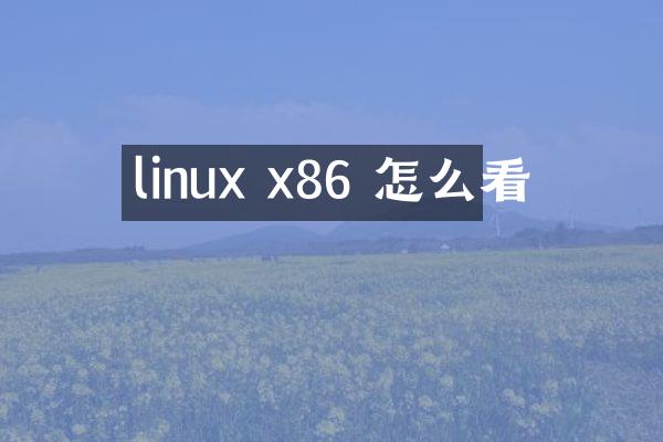 linux x86 怎么看